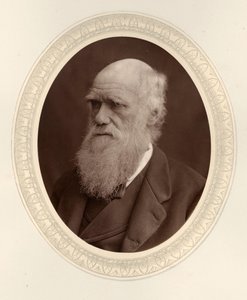 Porträt von Charles Darwin 1809-1882, 1877 von Photo studio Lock and Whitfield