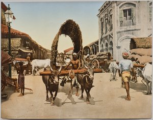 Indien. Ceylon. Colombo. Straßenszene, nach einem Foto von Dr. Kurt Boeck von Photoglob Co. (Zurich, active c. 1890 1910)