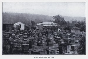 Eine Bienenfarm in New South Wales von Photographer Australian
