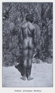 Neugierige Aborigine-Markierung von Photographer Australian