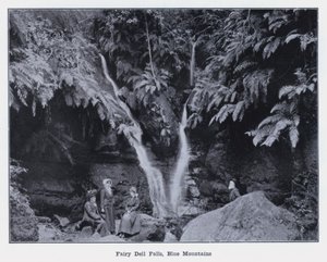 Fairy Dell Wasserfälle, Blue Mountains von Photographer Australian