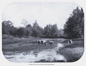 Lockyer Creek, nahe Laidley, Süd-Queensland von Photographer Australian