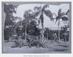Managerresidenz, Kamerunga State Nursery, Cairns (s/w Foto) von Photographer Australian