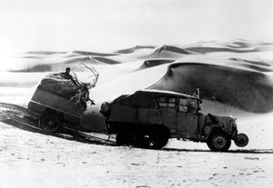 Gobi-Wüste, Die Gelbe Expedition