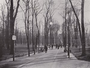 Im Tiergarten, Ahornsteig