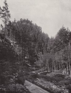 Partie aus dem Polenztal von Photographer German