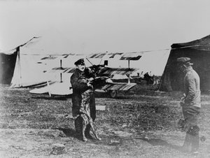 Der Rote Baron und sein Hund