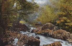 Irland: Im Dargle, County Wicklow von Photographer Irish
