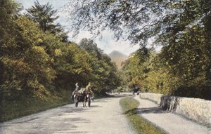 Irland: Das Glen of the Downs, Sugar Loaf Mountain, County Wicklow von Photographer Irish