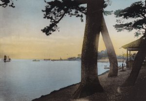 Japan, ca. 1912: Maiko nahe Kobe