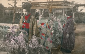 Japanische Frauen mit Glyzinienpflanzen