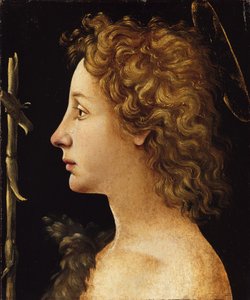 Der junge Heilige Johannes der Täufer von Piero di Cosimo
