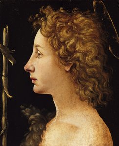 Der junge Heilige Johannes der Täufer (ca. 1480-82) von Piero di Cosimo