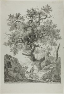 Künstler in einer felsigen Landschaft