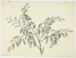 Der blühende Zweig von Pierre Antoine Mongin