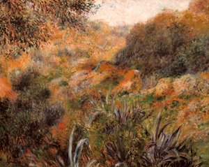 Algerische Landschaft, die Schlucht der wilden Frau