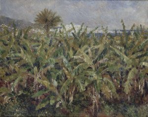 Bananenfeld Champ de bananiers, 1881 von Pierre Auguste Renoir