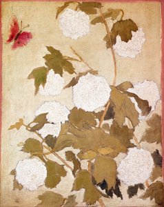 Schneebälle Blumen Schneebälle (Viburnum Ob) und roter Schmetterling
