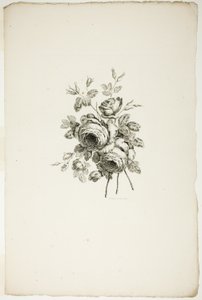 Blumenstrauß mit Rosen, aus der Sammlung verschiedener Blumensträuße, erfunden und gezeichnet von Jean Pillement und graviert von P. C. Canot von Pierre Charles Canot