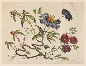 Blumenzweige, aus "Recueil de Differentes Fleurs de Fantaisie Dans le Goût Chinois" von Pierre Charles Canot