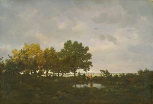 Der Teich La Mare