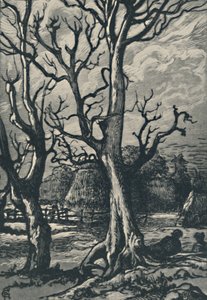 Eine Terracine, 1919