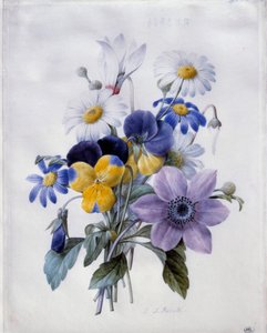Ein Blumenstrauß: Clematis, Stiefmütterchen, Gänseblümchen und Alpenveilchen von Pierre Joseph Redouté