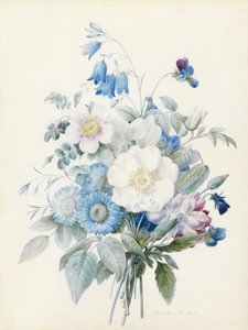Blaue Astern, Rosa spinosissima (Hybrid), Glockenblume, Veilchen, Nelke und eine Wildrose von Pierre Joseph Redouté