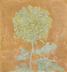 Chrysantheme von Piet Mondrian