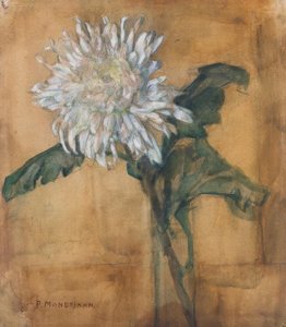 Chrysantheme von Piet Mondrian