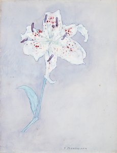 Lilie, ca. 1920-25 von Piet Mondrian