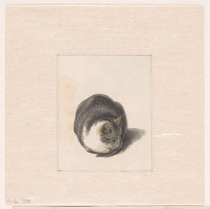 Sitzende Katze, von vorne gesehen