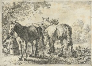 Drei Pferde und ein Bauer