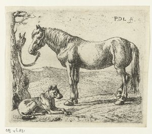 Pferd und Hund auf einer Weide Pferde (Serientitel)