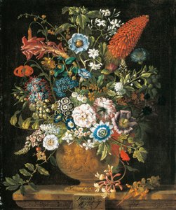 August, aus Die zwölf Monate der Blumen, ein Blumenkalender von Stillleben von Pieter Casteels
