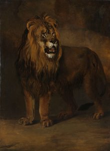 Ein Löwe aus der Menagerie von König Louis Napoleon, 1808