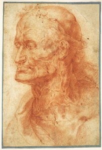 Studie eines alten Mannes Kopf, ca. 1602