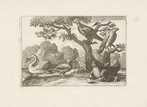 Huhn mit Küken und anderen Vögeln von Pieter Schenk (I) (attributed to)