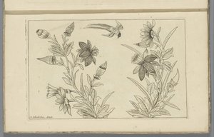 Zwei Blumensträucher und eine Schwalbe von Pieter Schenk (II)