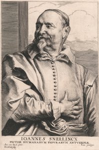 Joannes Snellincx, Maler menschlicher Figuren in Antwerpen
