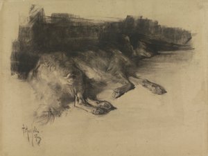 Liegender, schlafender Hund