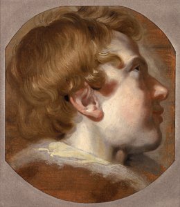 Kopf eines jungen Jungen, ca. 1620er