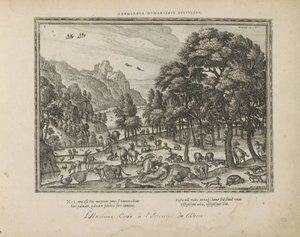 Schöpfung des Menschen von Pieter van der Borcht (I)