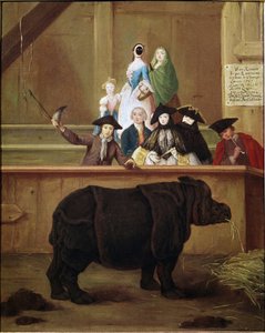 Nashorn: Ausstellung von Clara, indisches Nashorn