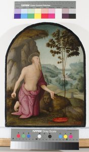 Heiliger Hieronymus in der Wildnis