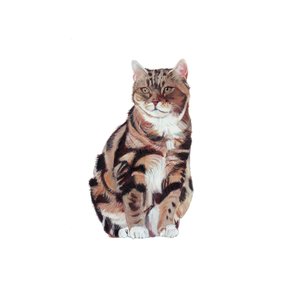Manx von Polly Horner