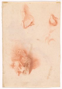 Kopf eines Mannes, Gesicht im Profil (recto); Anatomische Studie, Gesicht im Profil (verso)