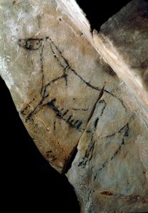 Prähistorie: ein Pferd. Felsmalerei, Stil IV, Oberes Paläolithikum (Magdalénien)