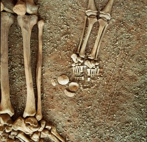 Prähistorie: Doppelsepultur von Erwachsenen und Kindern. Detailansicht des Grabbeigaben, an den Füßen des Kindes, drei Eichhörnchenschwänze, Muscheln und Steine aus der Höhle Arene Candide (Finale Ligure), Ligurien. Mesolithikum, 7000-6000 v. Chr.
