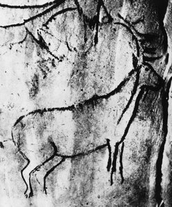 Vorgeschichte: Darstellung eines Hirsches in der Höhle von Niaux in Ariège